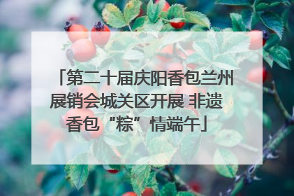 第二十届庆阳香包兰州展销会城关区开展 非遗香包“粽”情端午
