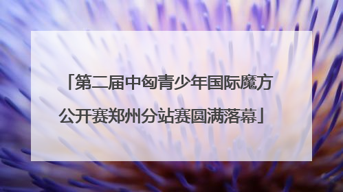 第二届中匈青少年国际魔方公开赛郑州分站赛圆满落幕