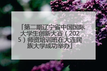 第二期辽宁省中国国际大学生创新大赛（2025）师资培训班在大连民族大学成功举办