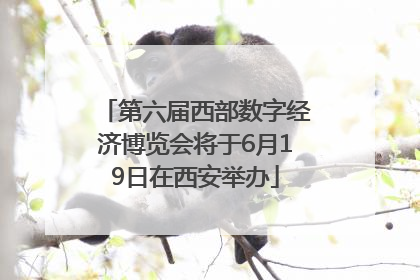 第六届西部数字经济博览会将于6月19日在西安举办