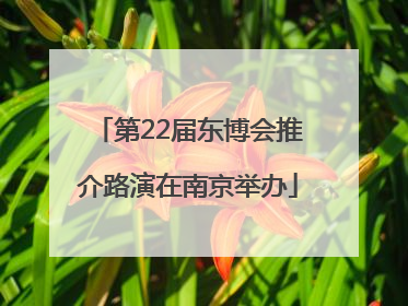 第22届东博会推介路演在南京举办