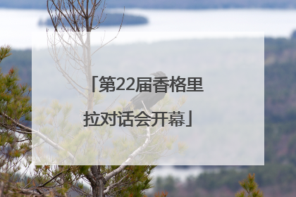 第22届香格里拉对话会开幕