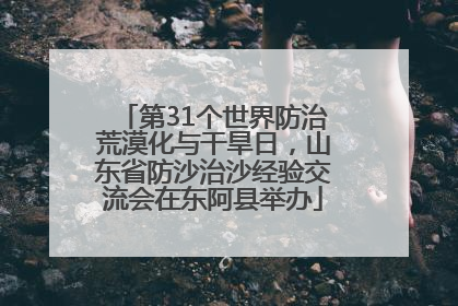 第31个世界防治荒漠化与干旱日，山东省防沙治沙经验交流会在东阿县举办