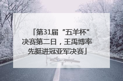 第31届“五羊杯”决赛第二日，王禹博率先挺进冠亚军决赛