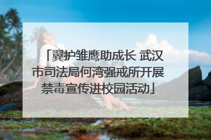 翼护雏鹰助成长 武汉市司法局何湾强戒所开展禁毒宣传进校园活动