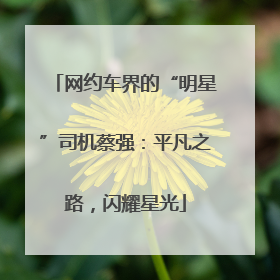 网约车界的“明星”司机蔡强：平凡之路，闪耀星光
