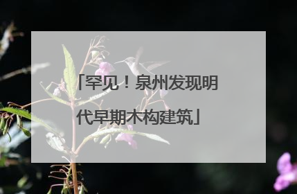 罕见！泉州发现明代早期木构建筑