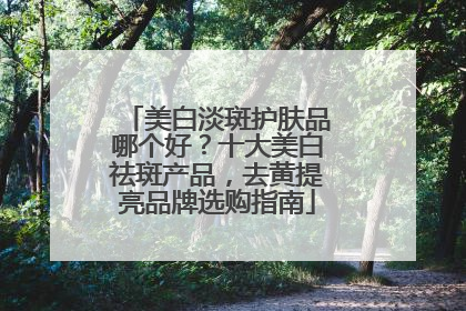 美白淡斑护肤品哪个好？十大美白祛斑产品，去黄提亮品牌选购指南
