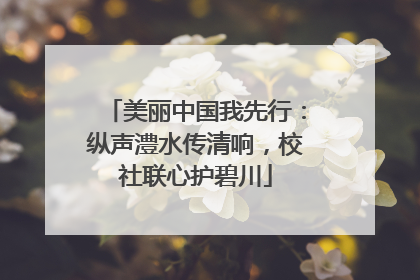 美丽中国我先行：纵声澧水传清响，校社联心护碧川