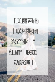美丽河南丨联村抱团兴产业 “红旗”联建动脉通