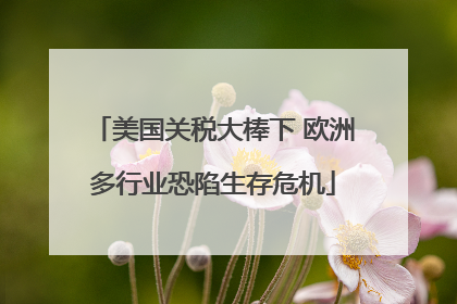 美国关税大棒下 欧洲多行业恐陷生存危机