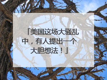 美国这场大骚乱中，有人提出一个大胆想法！