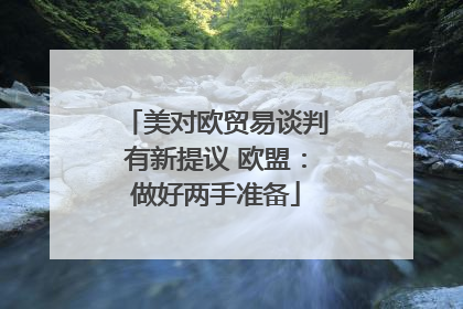 美对欧贸易谈判有新提议 欧盟：做好两手准备