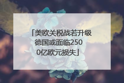 美欧关税战若升级 德国或面临2500亿欧元损失