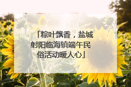 粽叶飘香，盐城射阳临海镇端午民俗活动暖人心