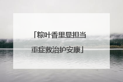粽叶香里显担当 重症救治护安康