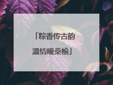 粽香传古韵 温情暖桑榆