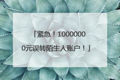 紧急！10000000元误转陌生人账户！