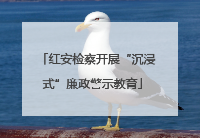 红安检察开展“沉浸式”廉政警示教育