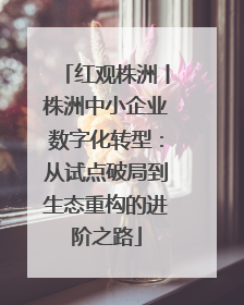 红观株洲丨株洲中小企业数字化转型：从试点破局到生态重构的进阶之路