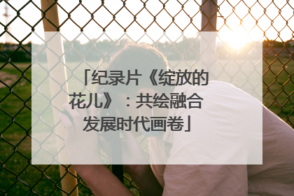 纪录片《绽放的花儿》：共绘融合发展时代画卷