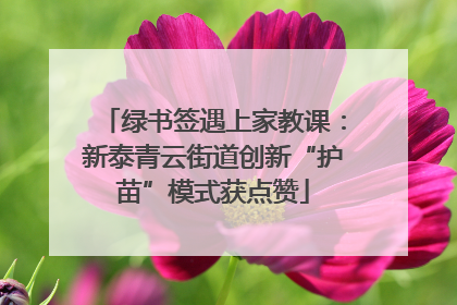 绿书签遇上家教课：新泰青云街道创新“护苗”模式获点赞