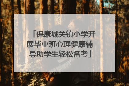 保康城关镇小学开展毕业班心理健康辅导助学生轻松备考