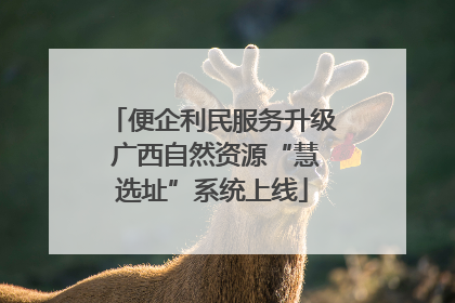 便企利民服务升级 广西自然资源“慧选址”系统上线