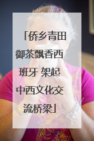 侨乡青田御茶飘香西班牙 架起中西文化交流桥梁