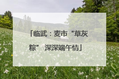 临武：麦市“草灰粽” 深深端午情