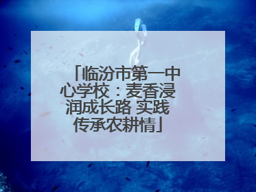 临汾市第一中心学校：麦香浸润成长路 实践传承农耕情