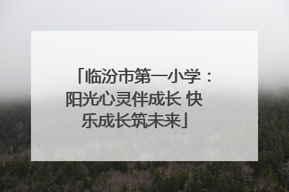 临汾市第一小学：阳光心灵伴成长 快乐成长筑未来