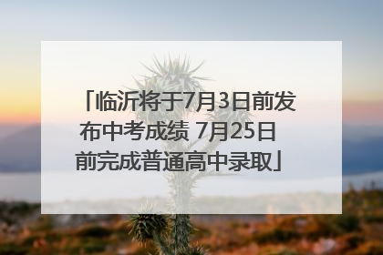 临沂将于7月3日前发布中考成绩 7月25日前完成普通高中录取