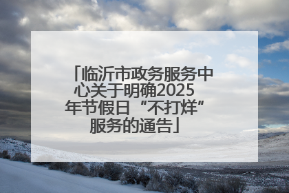 临沂市政务服务中心关于明确2025年节假日“不打烊”服务的通告
