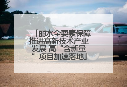 丽水全要素保障推进高新技术产业发展 高“含新量”项目加速落地