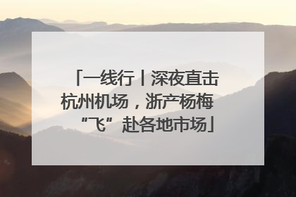 一线行丨深夜直击杭州机场，浙产杨梅“飞”赴各地市场