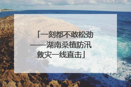 一刻都不敢松劲——湖南桑植防汛救灾一线直击