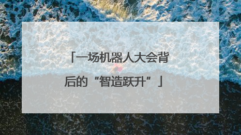 一场机器人大会背后的“智造跃升”