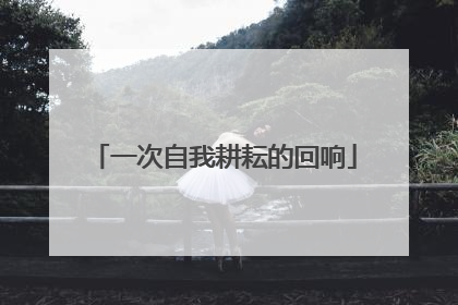 一次自我耕耘的回响