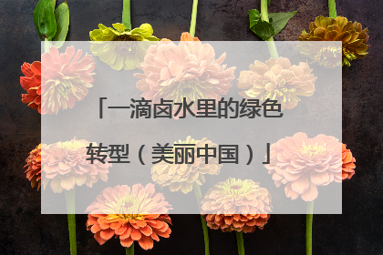 一滴卤水里的绿色转型（美丽中国）
