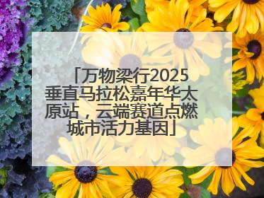 万物梁行2025垂直马拉松嘉年华太原站，云端赛道点燃城市活力基因