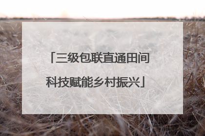 三级包联直通田间 科技赋能乡村振兴