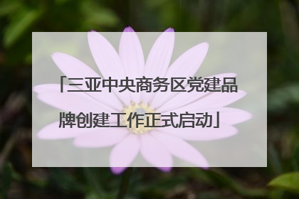 三亚中央商务区党建品牌创建工作正式启动