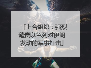 上合组织：强烈谴责以色列对伊朗发动的军事打击