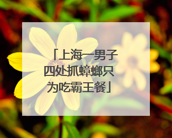 上海一男子四处抓蟑螂只为吃霸王餐