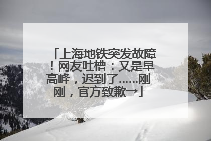 上海地铁突发故障！网友吐槽：又是早高峰，迟到了……刚刚，官方致歉→