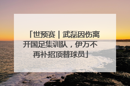 世预赛｜武磊因伤离开国足集训队，伊万不再补招顶替球员