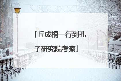 丘成桐一行到孔子研究院考察