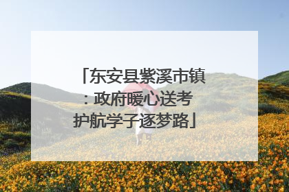 东安县紫溪市镇：政府暖心送考 护航学子逐梦路