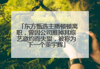 东方甄选主播顿顿离职，曾因公司推掉其综艺邀约而失望，被称为下一个董宇辉